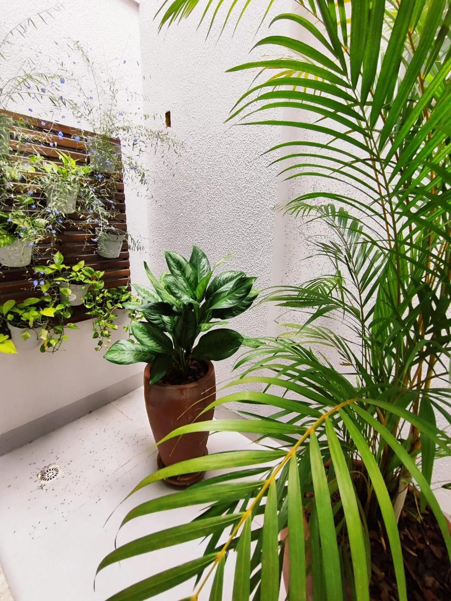 Hotel Pepita Palace シノプ エクステリア 写真