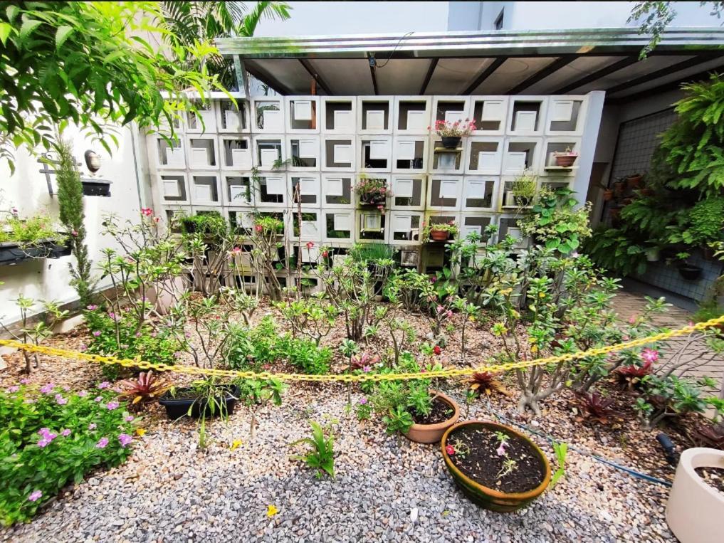 Hotel Pepita Palace シノプ エクステリア 写真